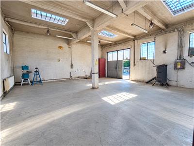 De vanzare casa si hale industriale - 475 mp utili in Cisnadie langa Sibiu