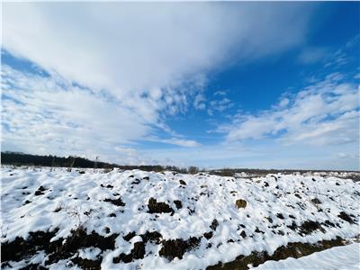 De vanzare teren cu suprafata de 6000 mp situat in Sibiu zona industriala Selimbar