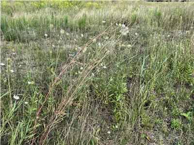 De vanzare teren industrial 20800 mp in zona Vest a orasului Sibiu