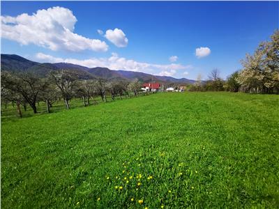 De vanzare teren intravilan 2500 mp pentru constructii cu acces la utilitati in Tocile langa Sibiu