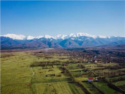 De vanzare teren Intravilan 2100 mp Valea Avrigului pe platou cu priveliste panoramica spre munti.