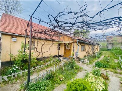 De vanzare casa individuala cu 2500 mp teren in Rusi langa Sibiu