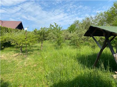 Teren pretabil constructie casa de vanzare in Daia Noua judet Sibiu