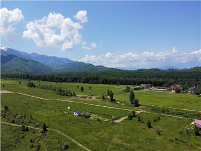 Teren de vanzare in Sibiu localitatea Avri zona Valea Avrigului 2800 mp