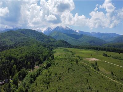 Teren de vanzare pe Valea Avrigului langa Dino Park in suprafata de 500 metri.