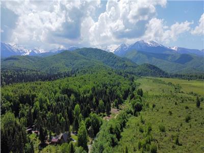 Teren intravilan de vanzare in Avrig zona Valea Avrigului