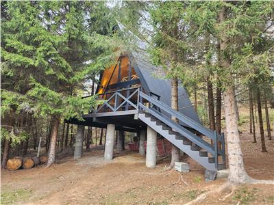 Casa tip A de inchiriat in localitatea Avrig zona Valea Avrigului
