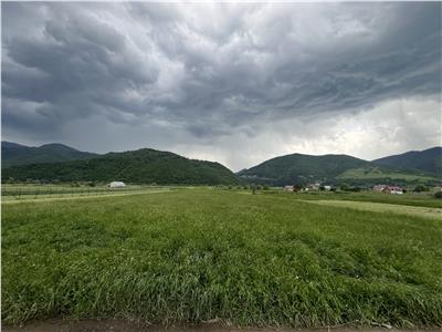 De vanzare teren intravilan de 3477 mp in Boita