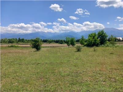 De vanzare teren 5000 mp intravilan pe Valea Avrigului, Sibiu