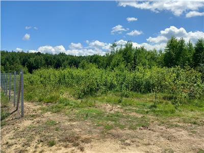 De vanzare teren intravilan 3900 mp in Porumbacu de Sus pe platoul centran, priveliste panoramica, Sibiu