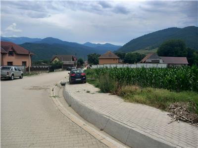 De vanzare teren intravilan 733 mp in Boita Sibiu