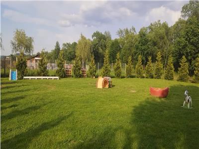De vanzare teren in suprafata de 1500 mp cu 2 deschideri de 50 si 30 metri situat in localitatea Cisnadie din Sibiu
