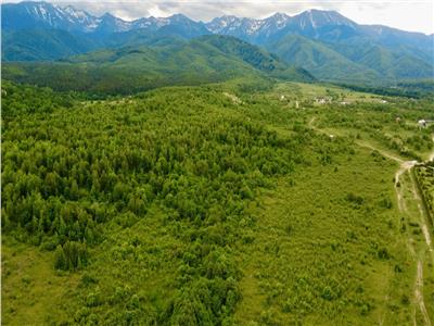 Teren intravilan de vanzare in localitatea Avrig din Sibiu