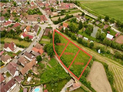 Teren intravilan de vanazare in Avrig de 1000 mp din Sibiu