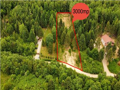 Teren intravilan 3000 mp de vanzare in Porumbacu de Sus din Sibiu