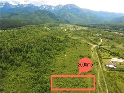 De vanzare teren extravilan 2000 mp in Porumbacu de Sus din Sibiu