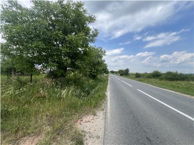 De vanzare teren curti constructii de 20200 mp in Daia