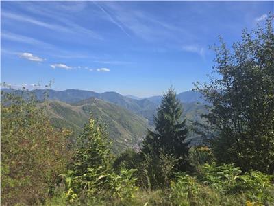Teren de vanzare 5134 mp pe Valea Lotrului com Malaia