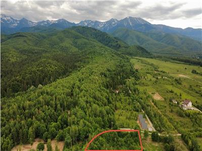 De vanzare teren intravilan in Porumbacu de Sus