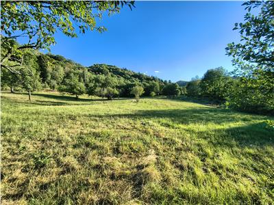 Teren extravilan 1200 mp in Sibiel langa Sibiu - ideal investitie