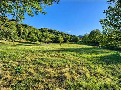 Teren extravilan 1200 mp in Sibiel langa Sibiu - ideal investitie
